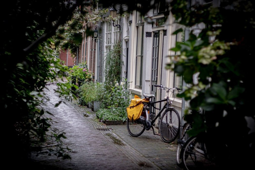Fahrrad im Grünen vor Haus